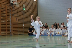 IMG_2526_bearbeitet-1