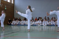 IMG_2540_bearbeitet-1