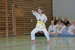 IMG_2552_bearbeitet-1