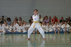 IMG_2553_bearbeitet-1