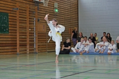 IMG_2562_bearbeitet-1