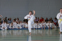 IMG_2564_bearbeitet-1