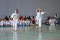 IMG_2566_bearbeitet-1