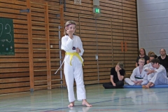 IMG_2570_bearbeitet-1