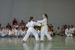 IMG_2574_bearbeitet-1