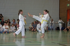 IMG_2581_bearbeitet-1