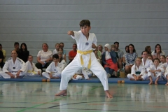 IMG_2585_bearbeitet-1