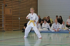 IMG_2586_bearbeitet-1