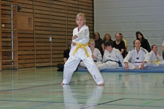 IMG_2591_bearbeitet-1