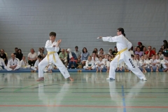 IMG_2593_bearbeitet-1