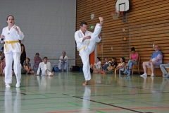 IMG_2596_bearbeitet-1