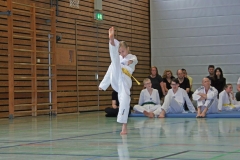 IMG_2600_bearbeitet-1