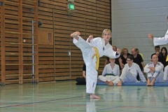 IMG_2608_bearbeitet-1