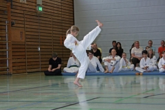 IMG_2617_bearbeitet-1