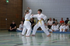 IMG_2623_bearbeitet-1