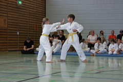 IMG_2627_bearbeitet-1