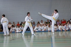 IMG_2629_bearbeitet-1