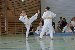 IMG_2633_bearbeitet-1