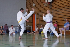 IMG_2636_bearbeitet-1