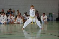 IMG_2641_bearbeitet-1