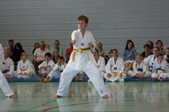 IMG_2643_bearbeitet-1