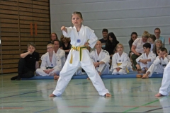 IMG_2645_bearbeitet-1