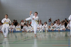 IMG_2650_bearbeitet-1