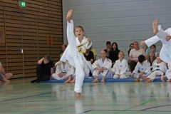 IMG_2651_bearbeitet-1