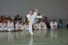 IMG_2653_bearbeitet-1