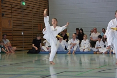 IMG_2656_bearbeitet-1