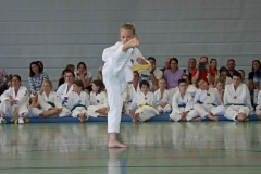 IMG_2657_bearbeitet-1