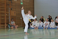 IMG_2659_bearbeitet-1