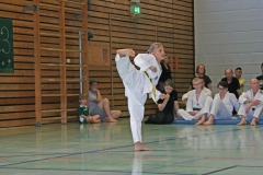 IMG_2665_bearbeitet-1