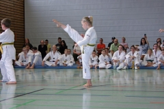 IMG_2673_bearbeitet-1