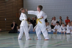 IMG_2676_bearbeitet-1