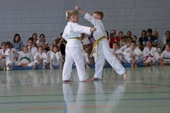 IMG_2678_bearbeitet-1