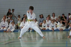 IMG_2694_bearbeitet-1