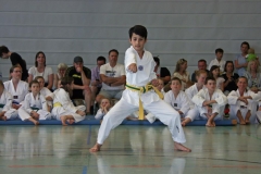 IMG_2695_bearbeitet-1