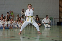 IMG_2696_bearbeitet-1