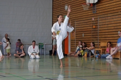 IMG_2704_bearbeitet-1