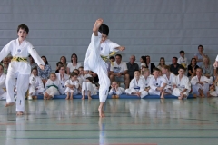 IMG_2706_bearbeitet-1