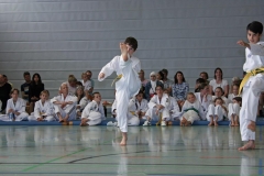 IMG_2707_bearbeitet-1