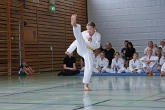 IMG_2709_bearbeitet-1