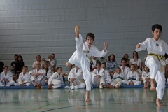 IMG_2712_bearbeitet-1