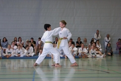 IMG_2731_bearbeitet-1