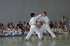 IMG_2739_bearbeitet-1