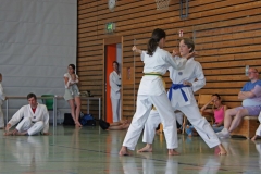 IMG_2740_bearbeitet-1