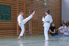 IMG_2742_bearbeitet-1