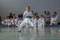 IMG_2752_bearbeitet-1