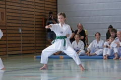 IMG_2753_bearbeitet-1